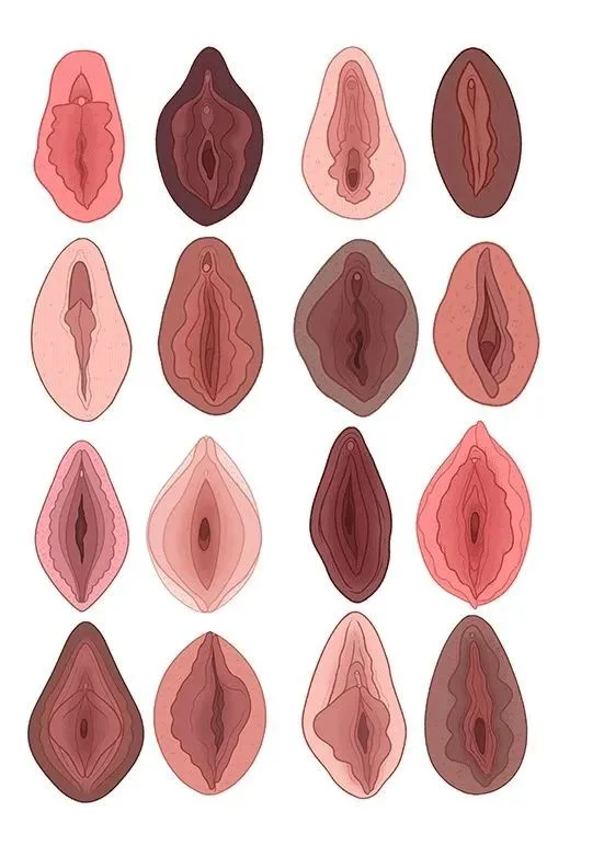 画满各种形状的阴道